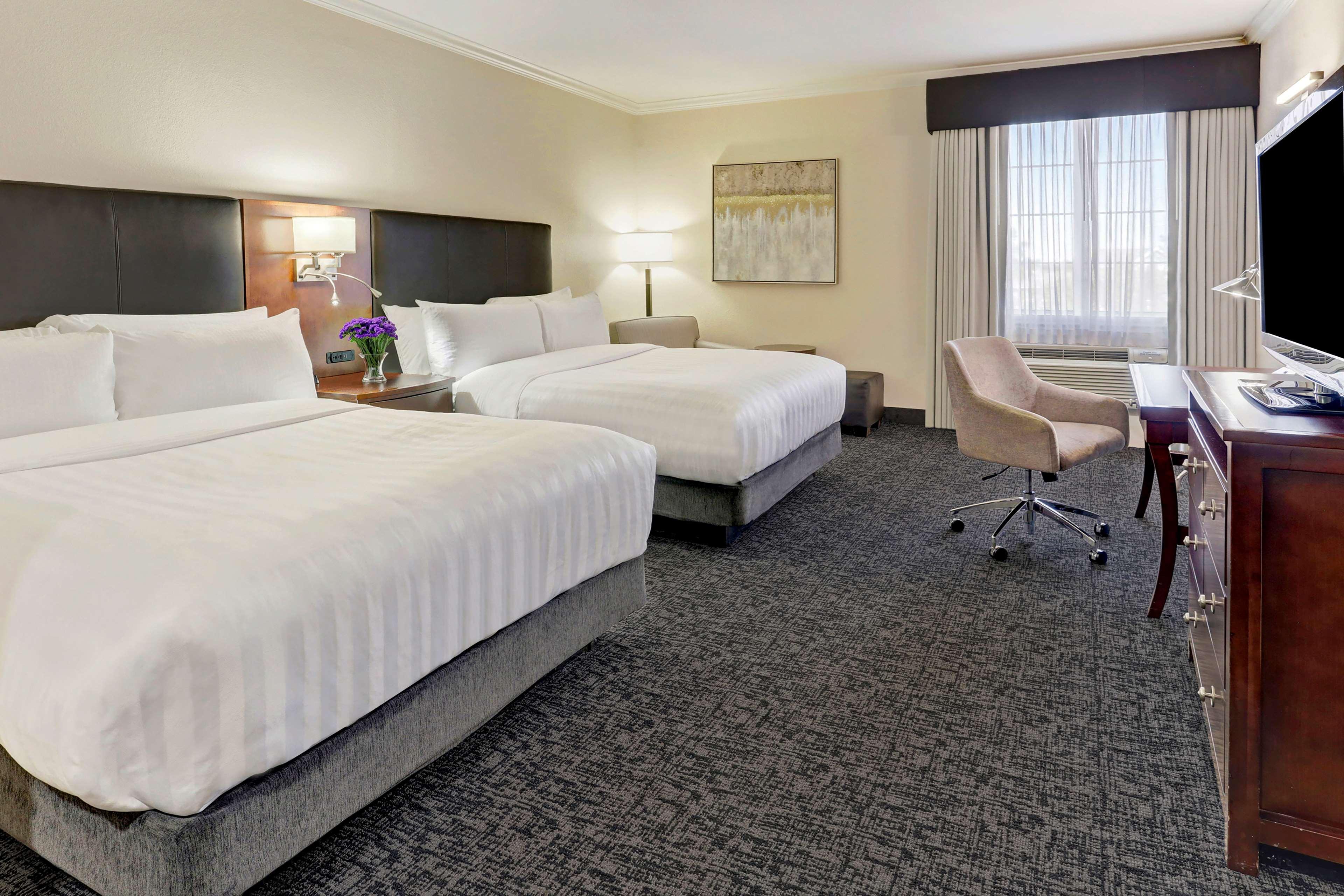 Best Western Plus Downtown Inn & Suites Houston Ngoại thất bức ảnh