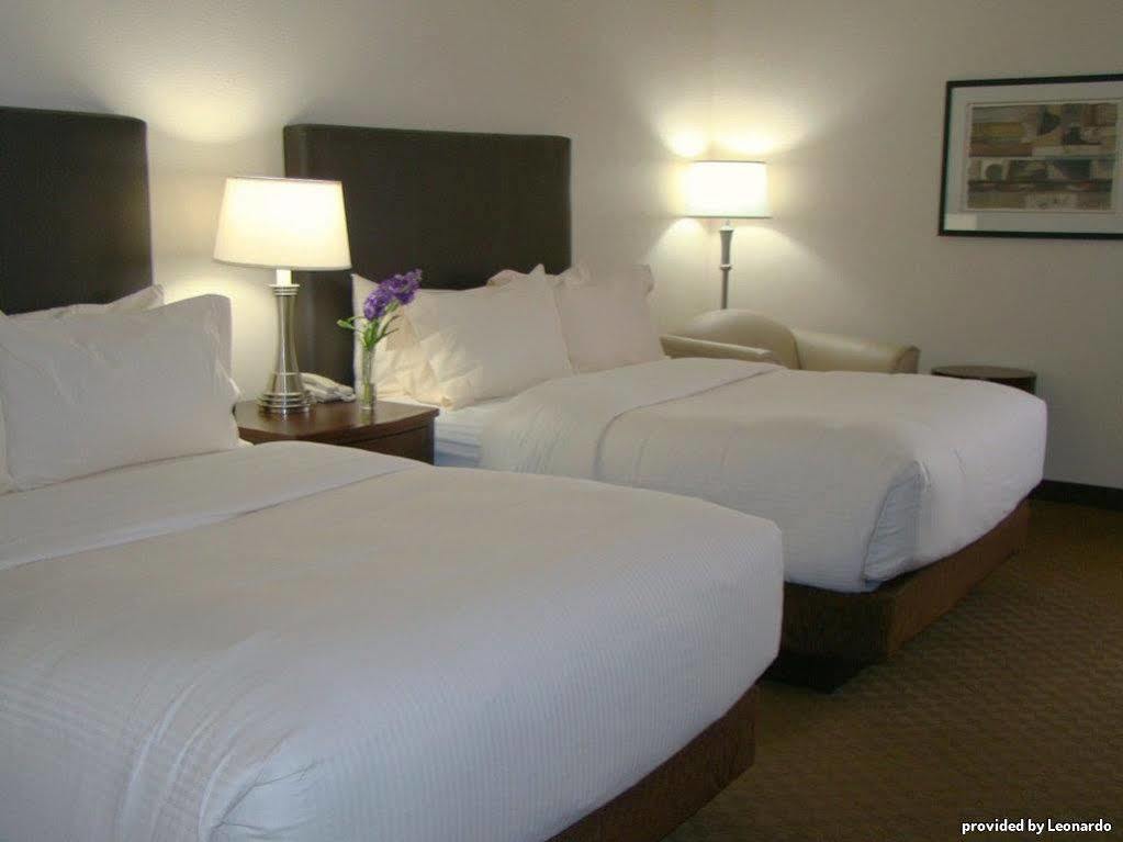 Best Western Plus Downtown Inn & Suites Houston Phòng bức ảnh